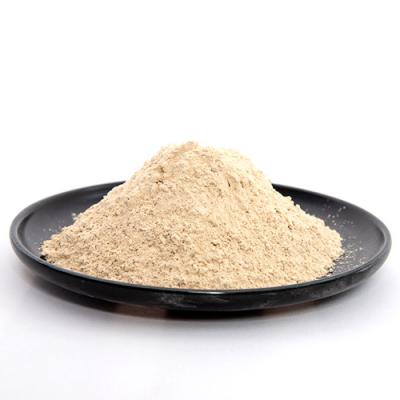 Acid resistant refractory gunning material